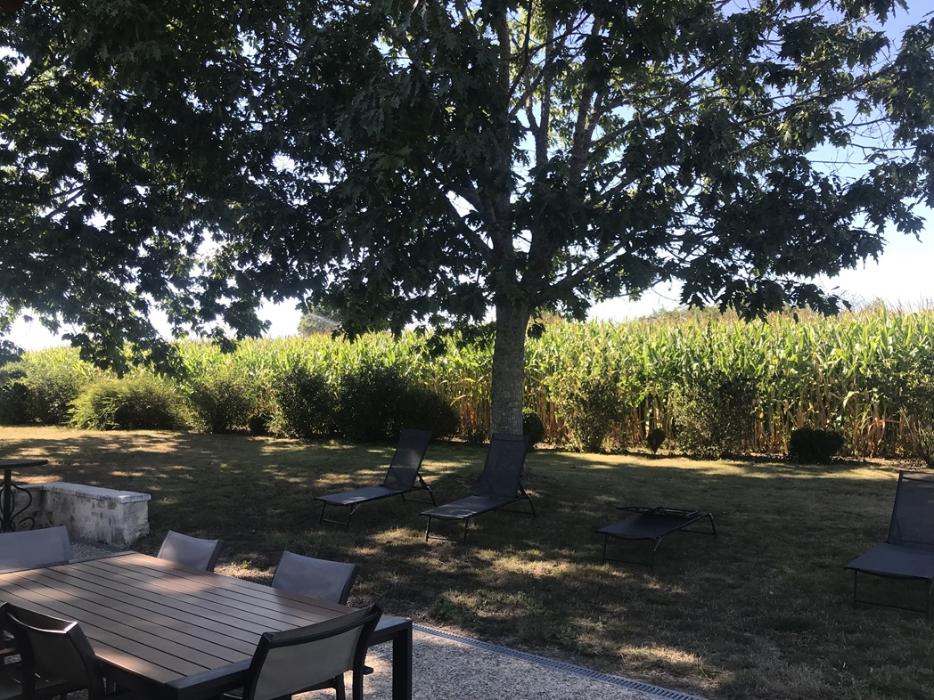 Villa Marguerite, Saint-Rémy - photo 16