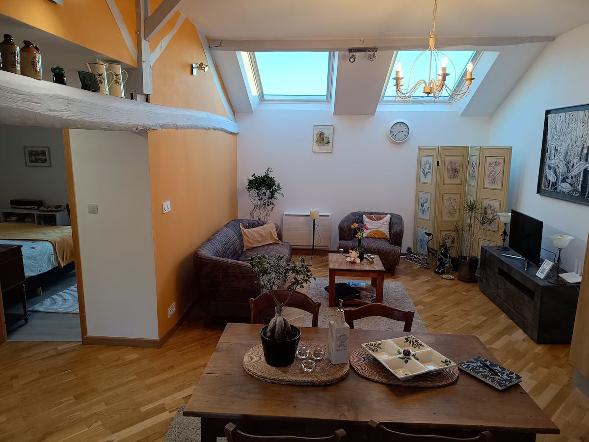 Gîte J'oie de Vivre *** - photo 4