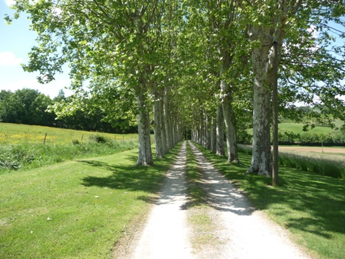 Gîte de la Grange de Pechcaillou - photo 3