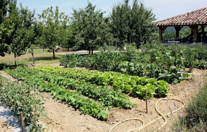 Gîte L'Olivier - photo 4