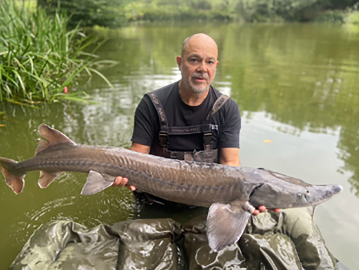 La Clé des Champs, Scillé - photo 10