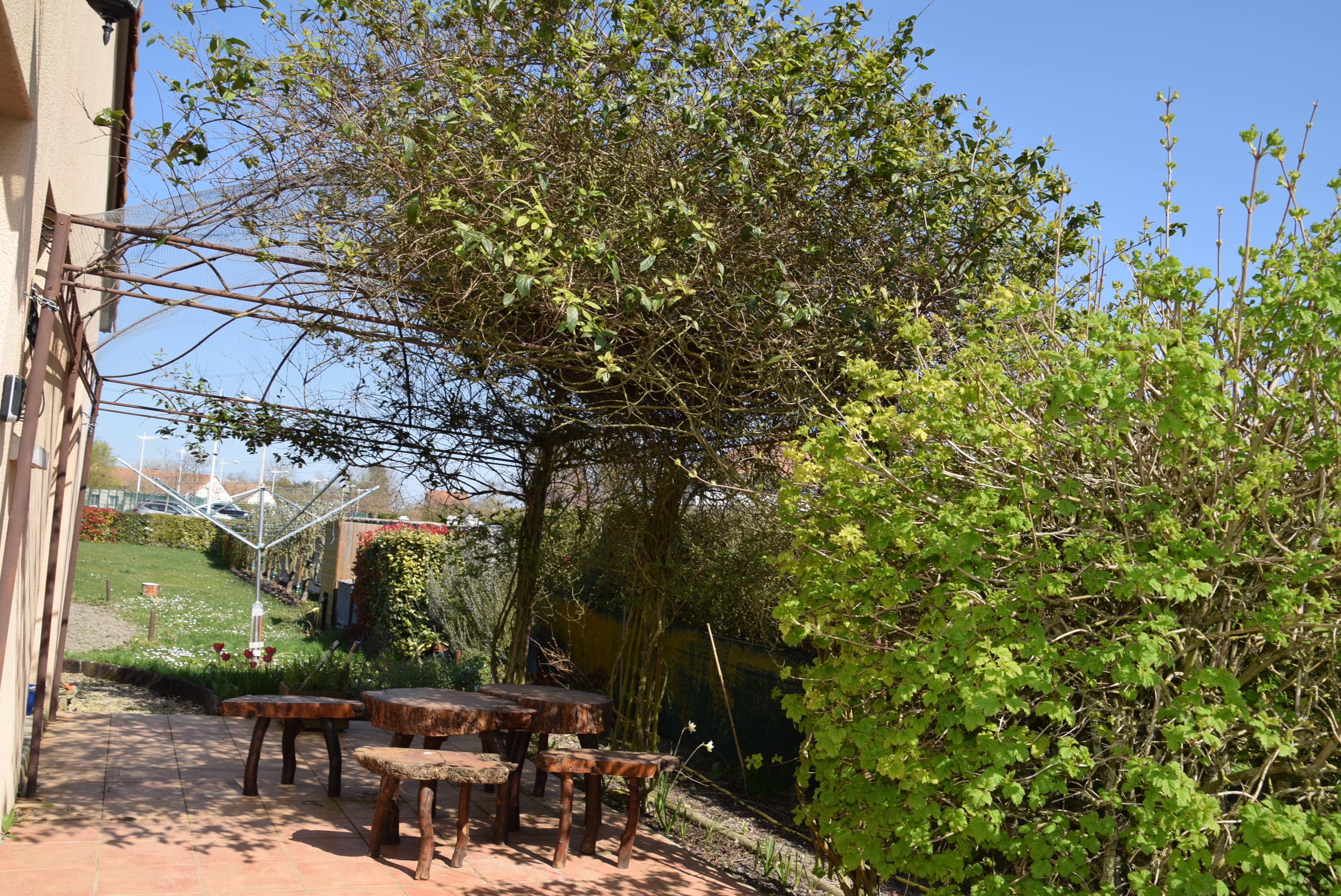 La Maison du Rouge-Gorge, Monts-sur-Guesnes - photo 7