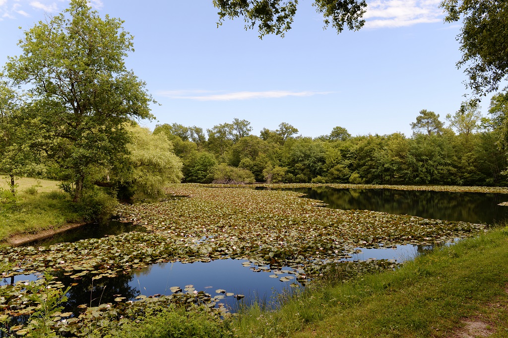 La Guirandole, Eygurande-et-Gardedeuil - photo 13
