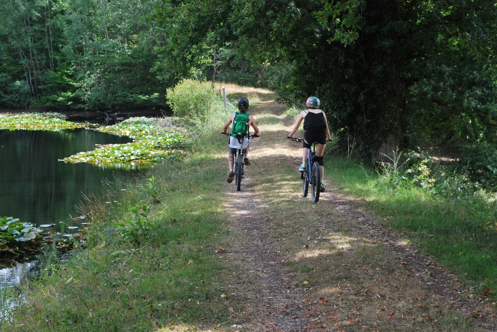 La Guirandole - photo 5