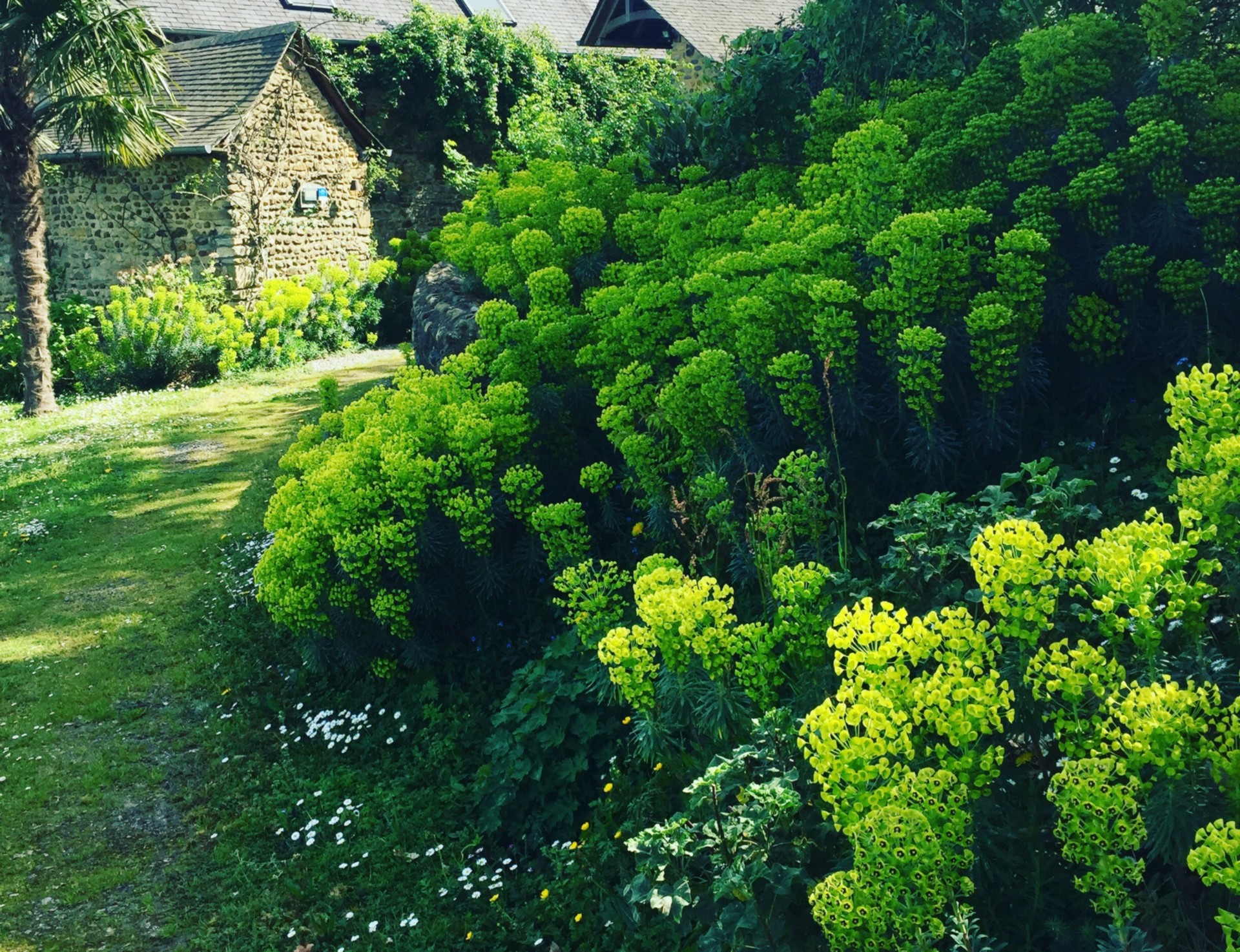Gîte de Lamarquette, Lucq-de-Béarn - photo 11