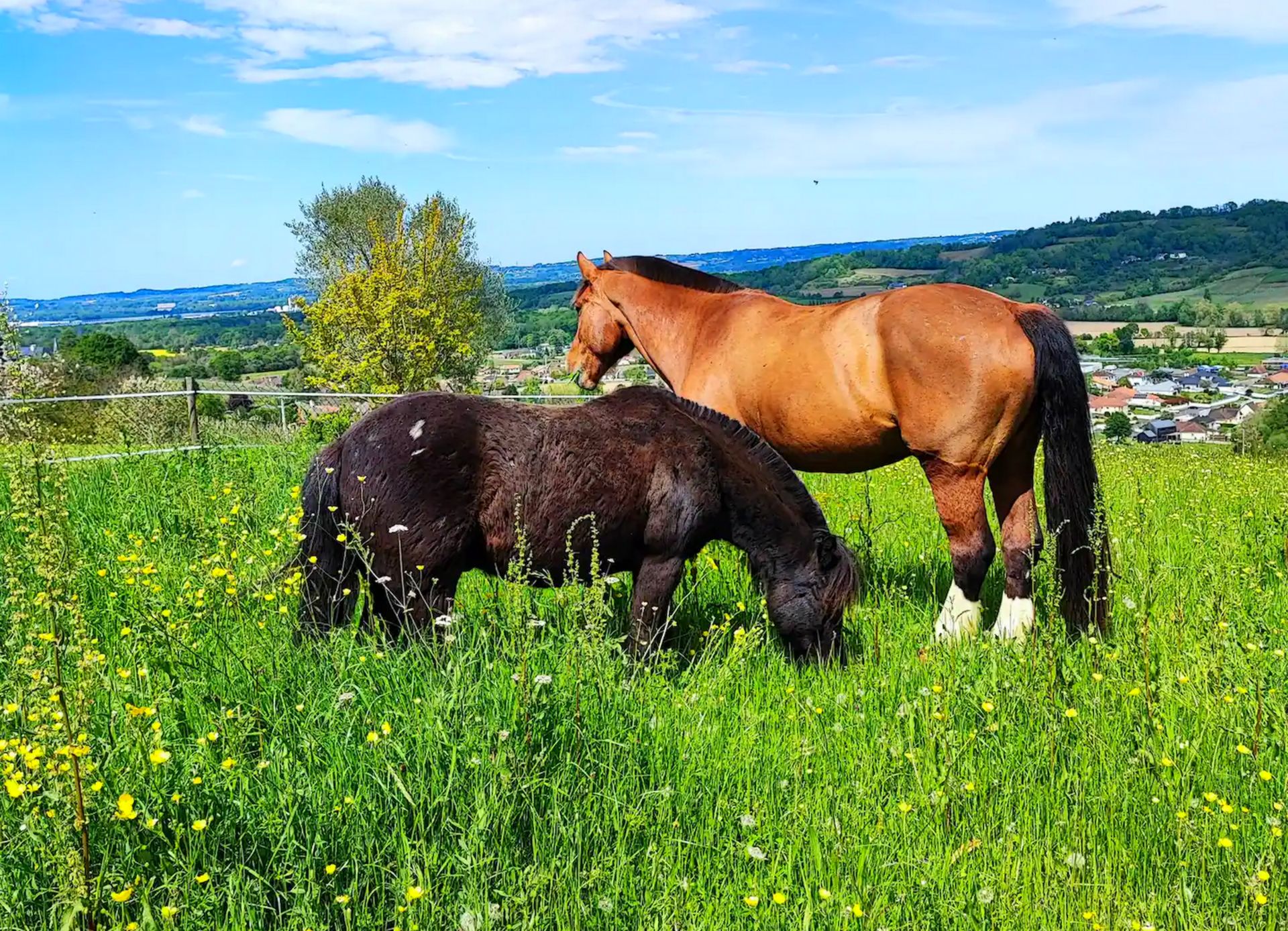 Gîte Laplume, Monein - photo 8