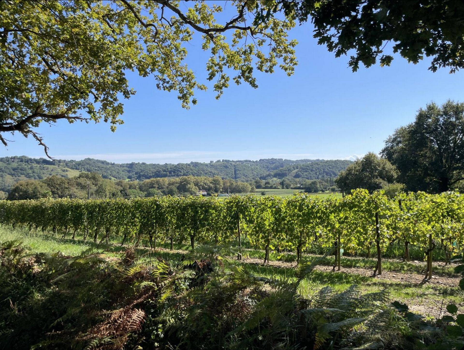 Gite Les Bals Clandestins, Lacommande - photo 12