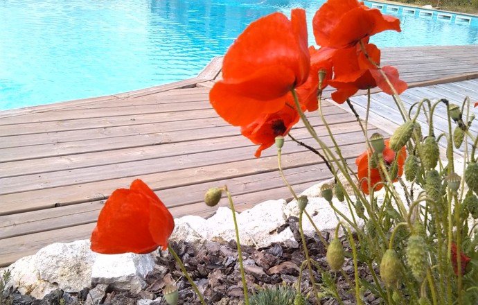Gîte Les Coquelicots, Nérac - photo 5