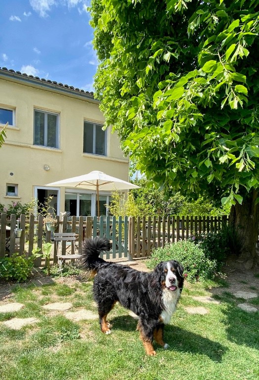 Les Hortensias, Marmande - photo 8