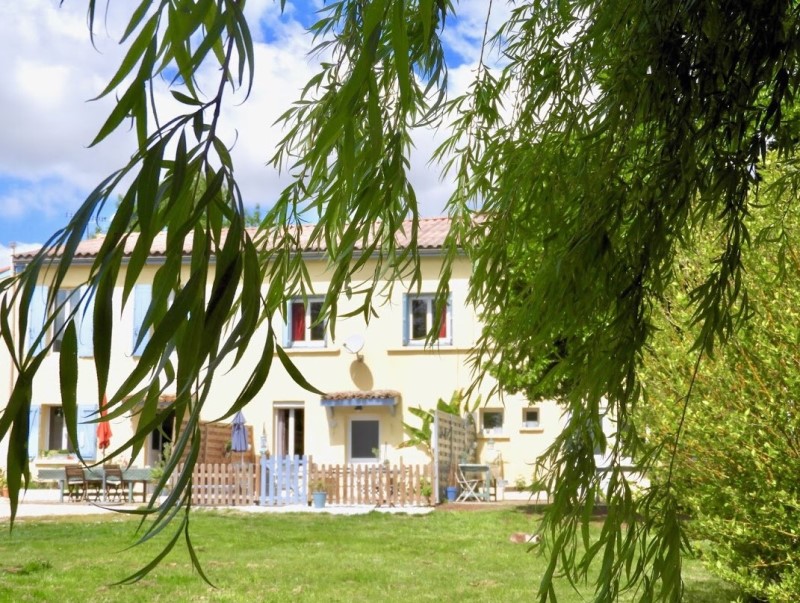 Les Hortensias - photo 3