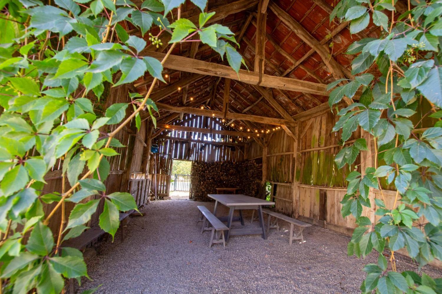 Les Mareillauds, Salon - photo 8