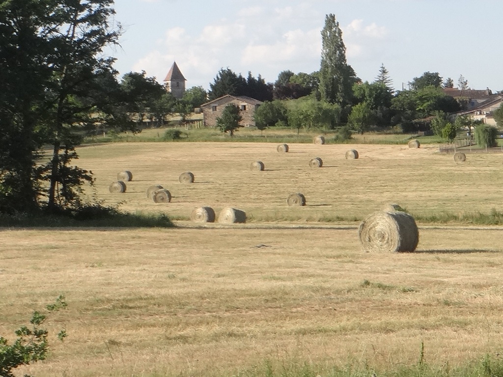 Les Queues de Renard, Saint-Martin-de-Gurson - photo 28