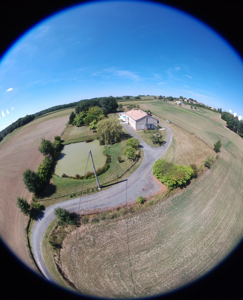 Les Queues de Renard, Saint-Martin-de-Gurson - photo 7