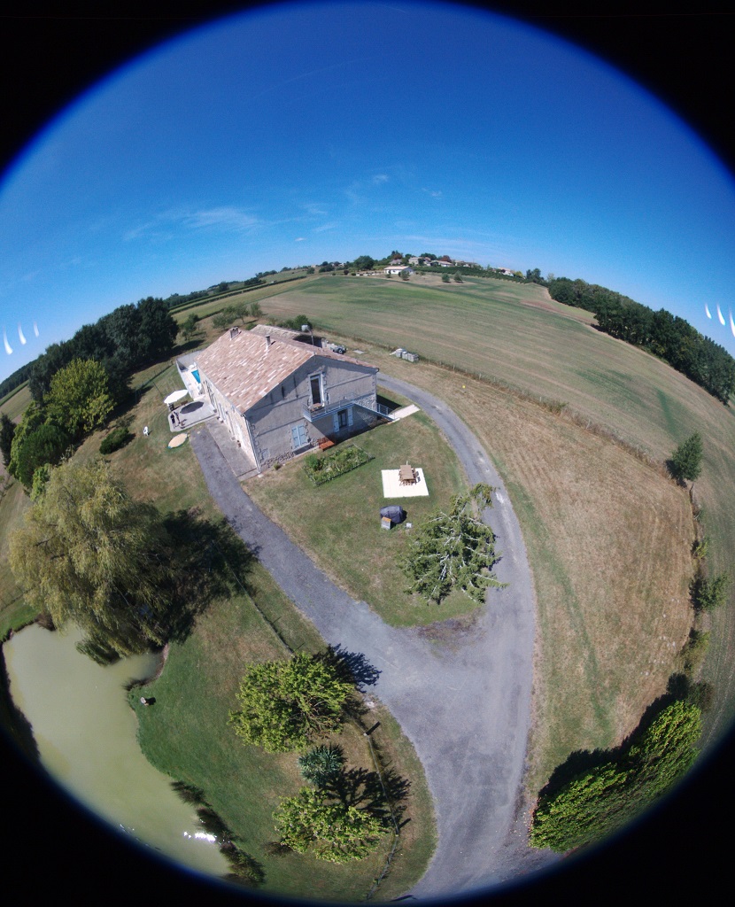 Les Queues de Renard, Saint-Martin-de-Gurson - photo 25