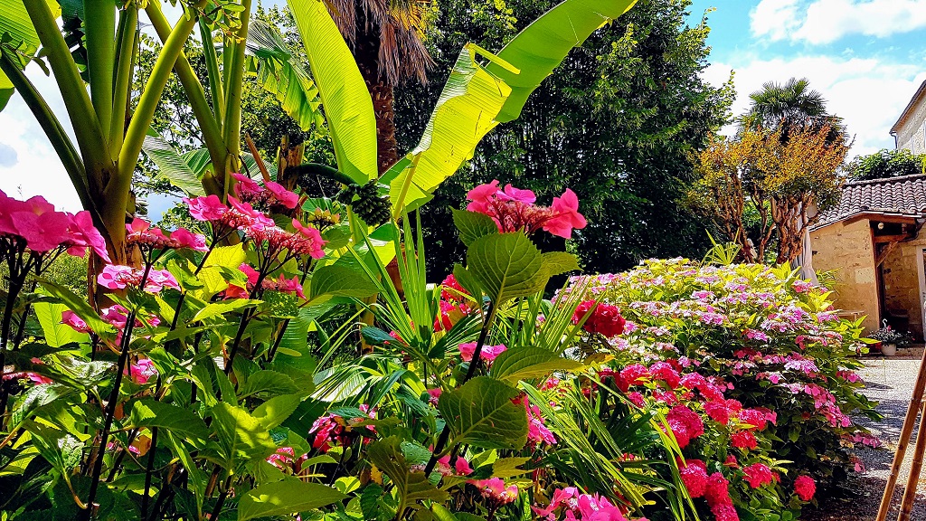 La Chartreuse des Demoiselles, Saint-Méard-de-Gurçon