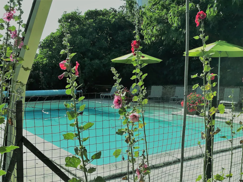 La Chartreuse des Demoiselles, Saint-Méard-de-Gurçon - photo 14