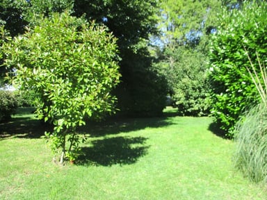 Gîte de Mme Colemyn, Bégadan - photo 8