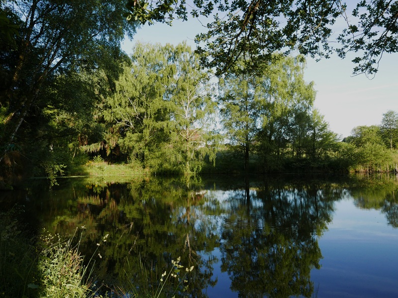 Gîte Prétanie - photo 4