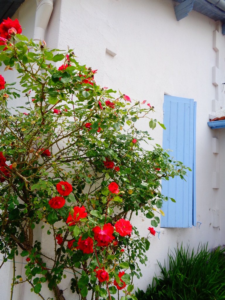 Gîte Louisette ROCHE, Montpon-Ménestérol - photo 12