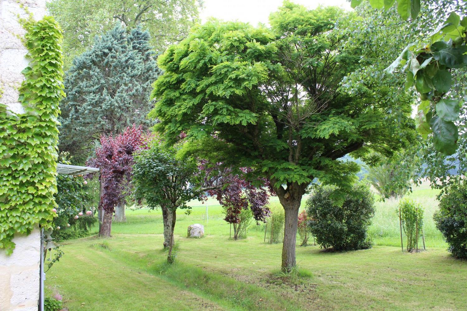 Gite Saint Aulaire de l'Angle — photo 2