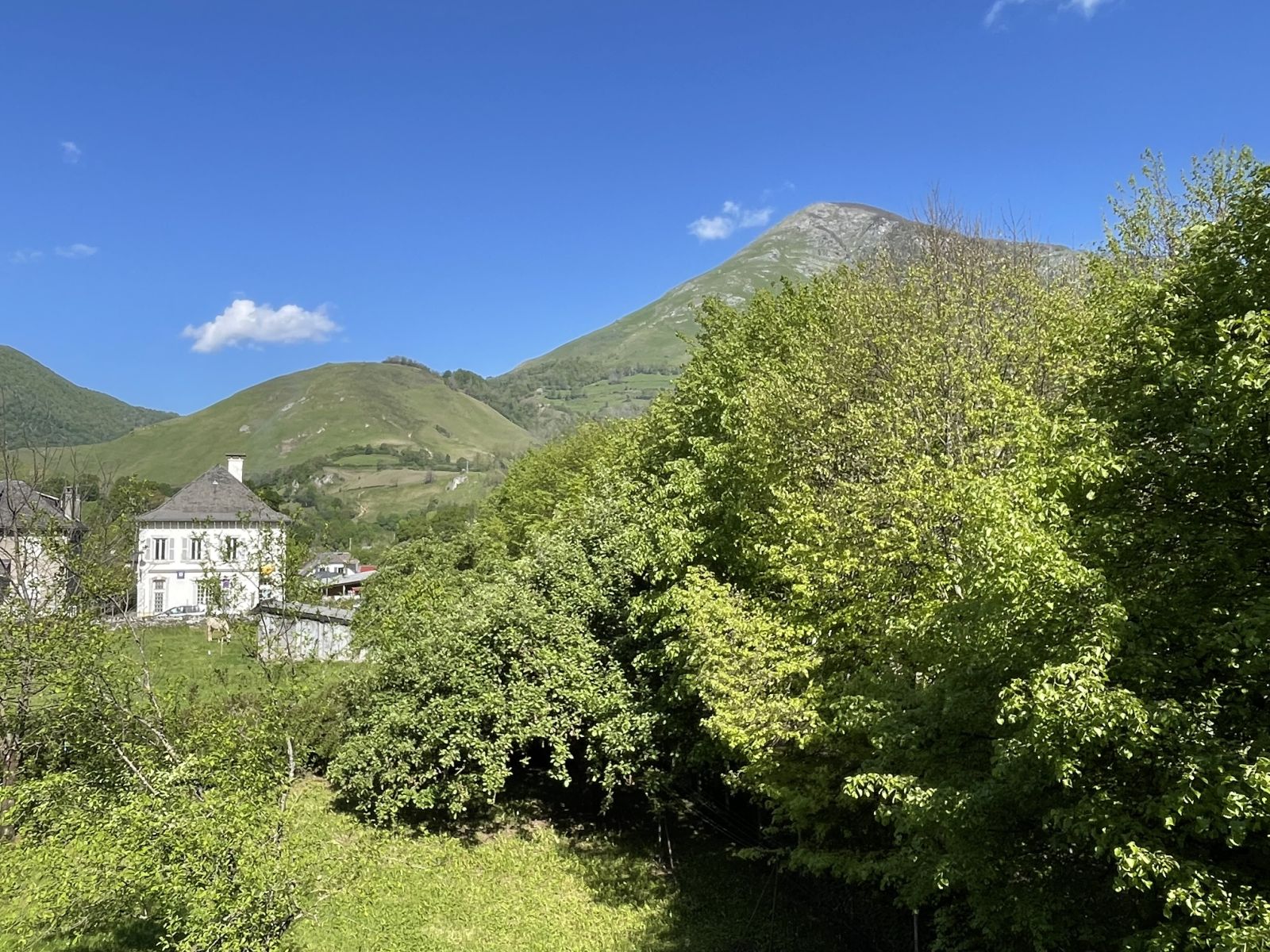 Gîte Teisseire, Bedous - photo 3