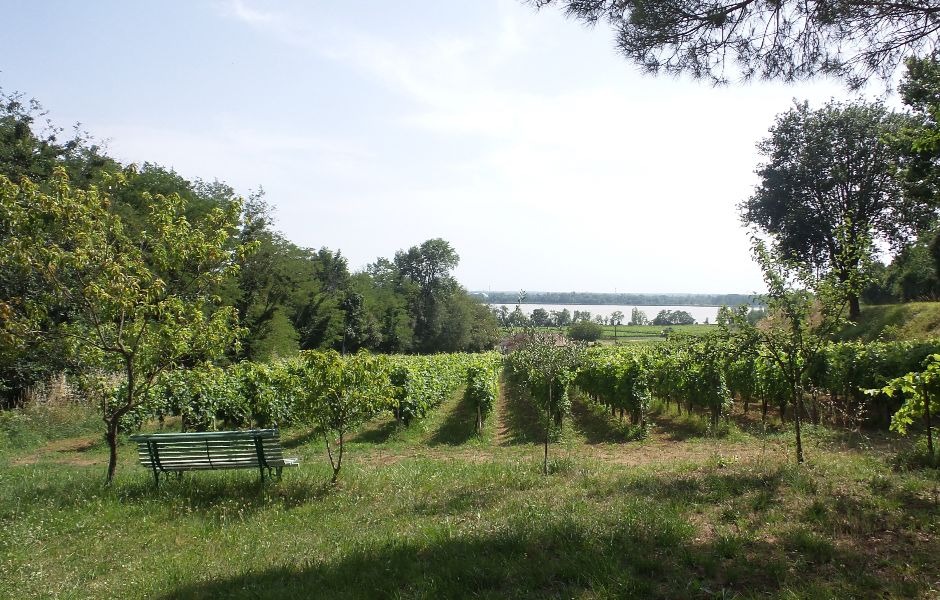 Gite du Château Le Tertre Camillac, Bourg - photo 3