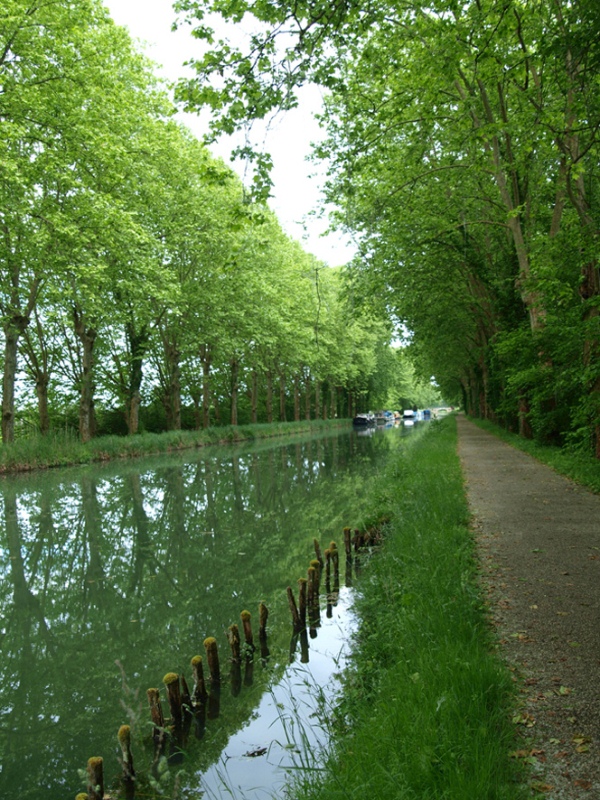 Gîte au Jardin, Meilhan-sur-Garonne - photo 12