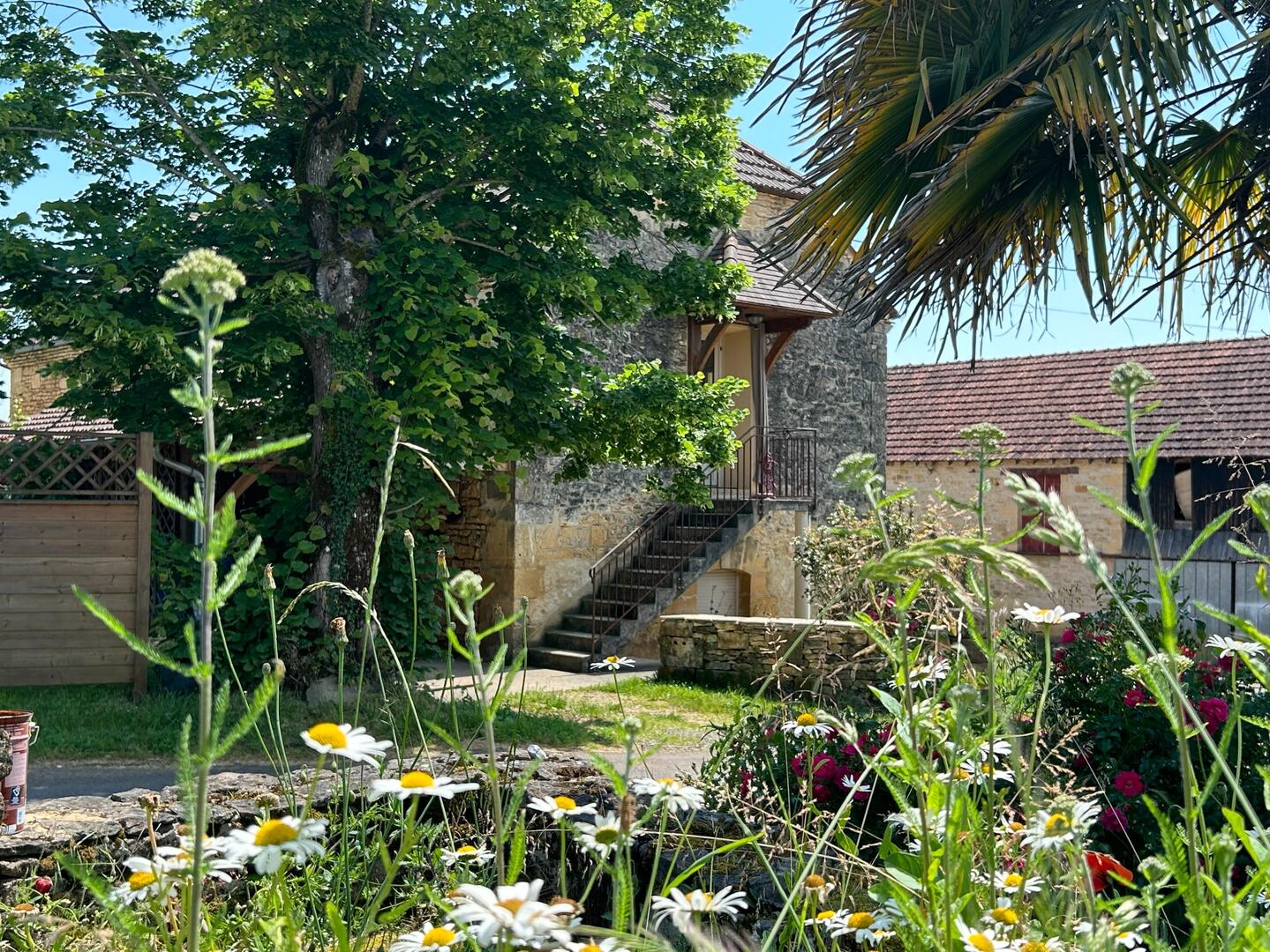 Au gîte du Petit Touron proche de Sarlat, Sainte-Nathalène - photo 6