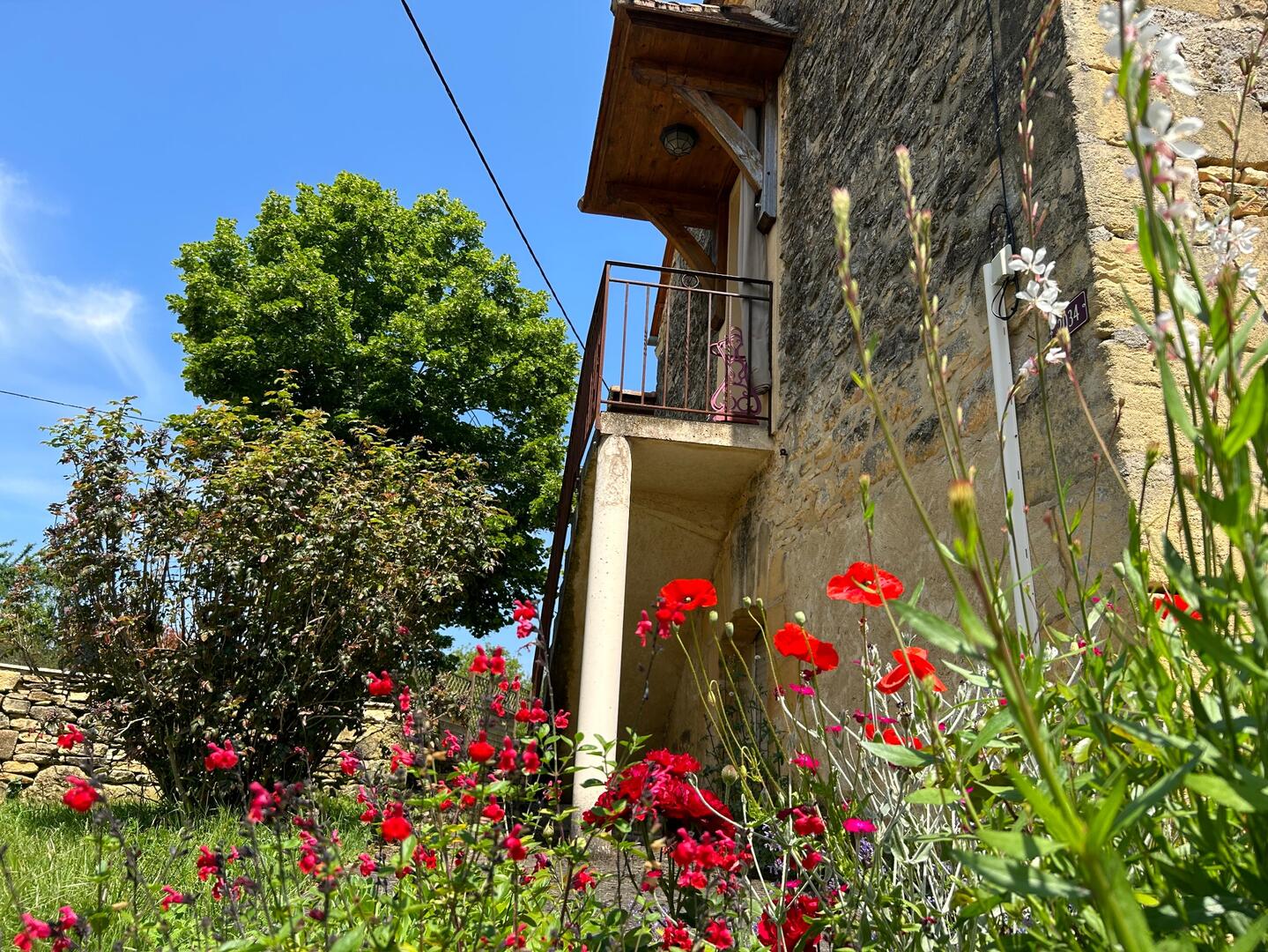 Au gîte du Petit Touron proche de Sarlat, Sainte-Nathalène - photo 19