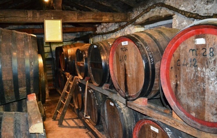 Gîte de Bacchus, Mézin - photo 15