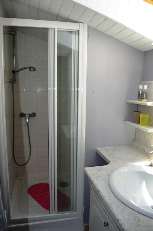 Gîte de Bacchus, Mézin - photo 11