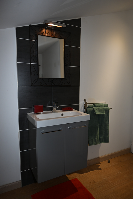 Gite de Daspe, Beaupuy - photo 4