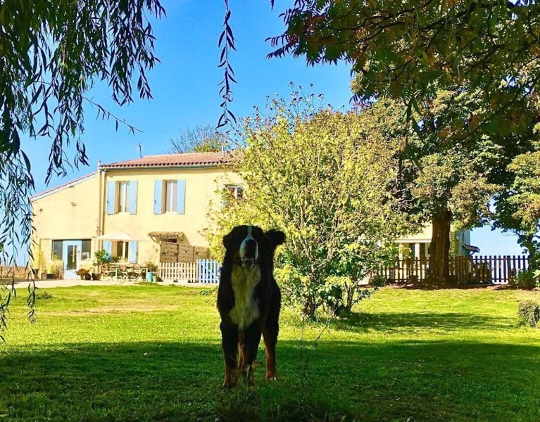 Les Agapanthes, Marmande - photo 10