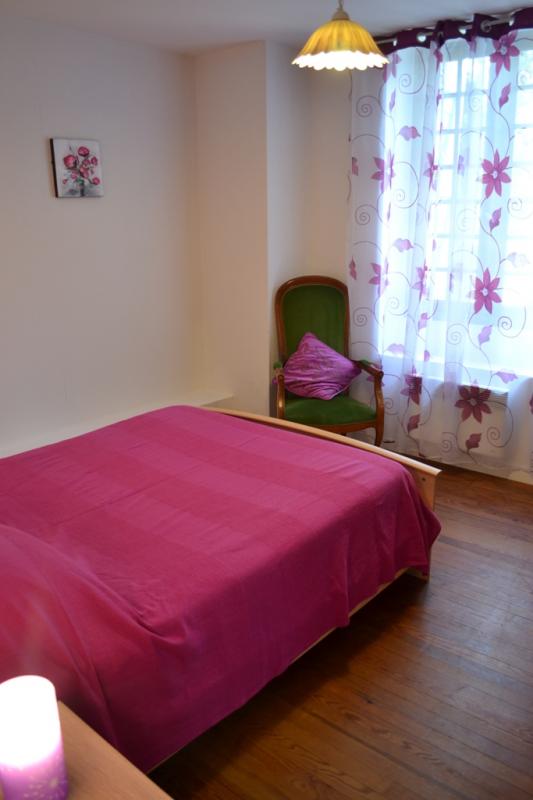 Gîte de Labat, Saint-Pé-Saint-Simon - photo 28