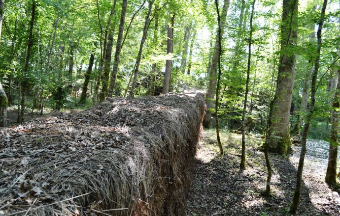 Gîte de Labat, Saint-Pé-Saint-Simon - photo 18