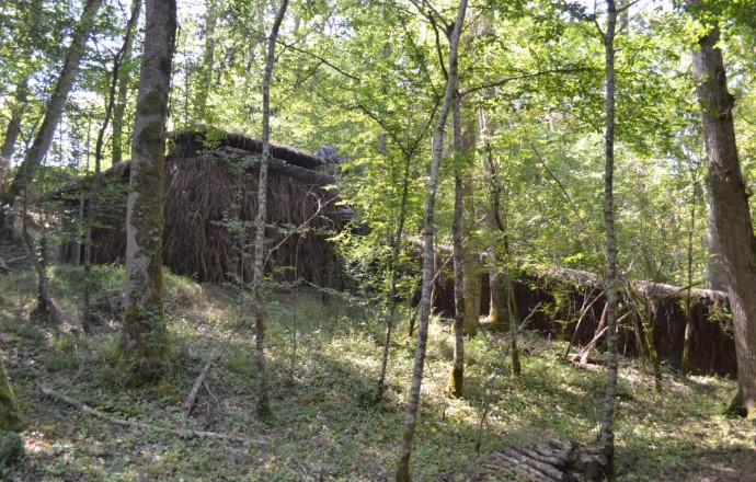 Gîte de Labat, Saint-Pé-Saint-Simon - photo 21