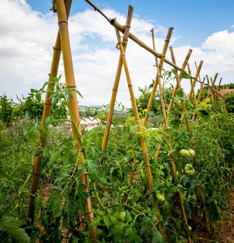 Le gîte de Montauzet, Saumont - photo 26