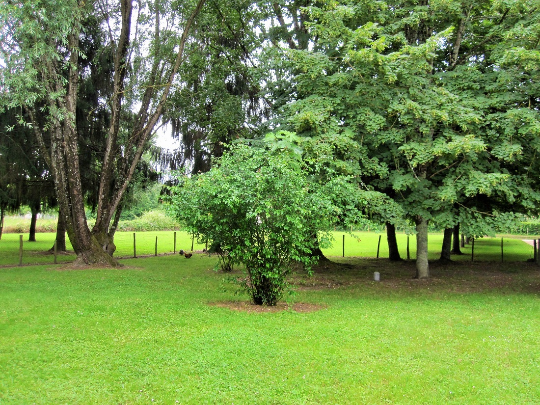 Gîte de Néry - photo 2