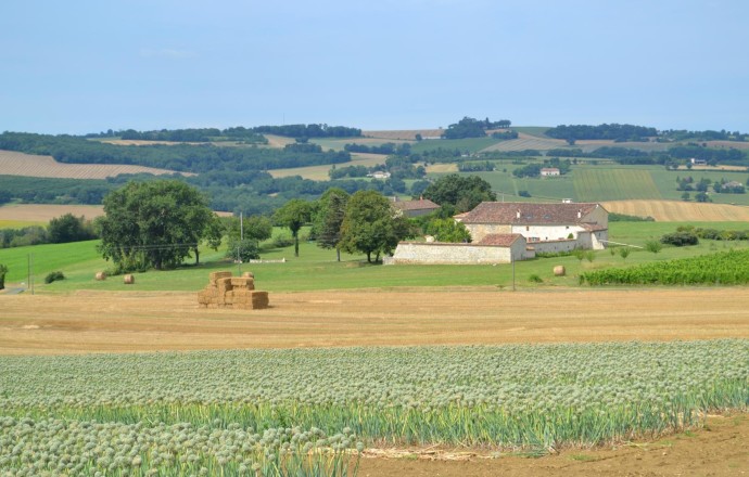 Gîte de Peyroustoux, Montagnac-sur-Auvignon - photo 13