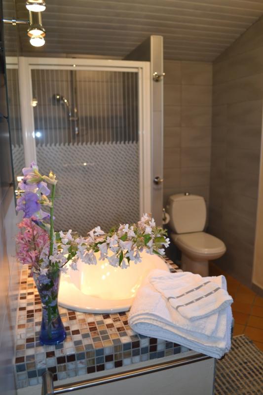 Gîte Seringa, Barbaste - photo 7