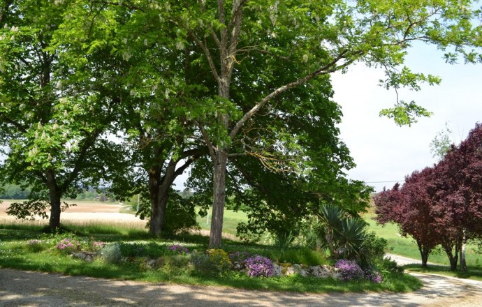 Gîte Seringa, Barbaste - photo 8