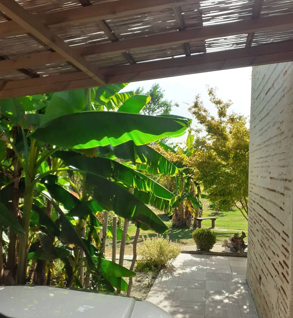 Gîte de Yot - photo 4