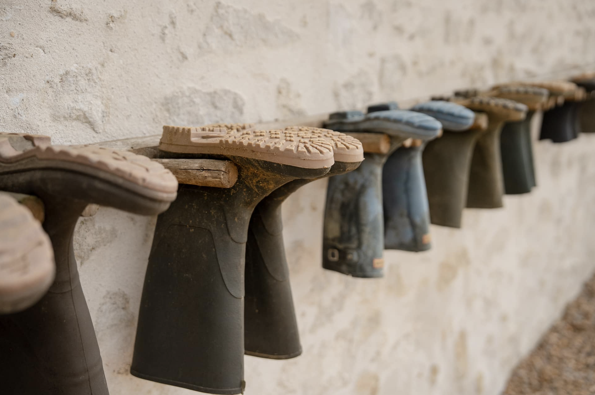 Gîte Les Petites Buardières, Saint-Pierre-des-Échaubrognes - photo 21