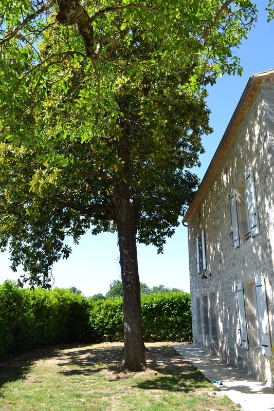 Gîte des Magnolias, Nérac - photo 16