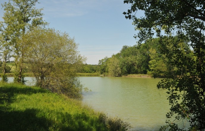 Gîte des Tournesols, Moncaut - photo 10