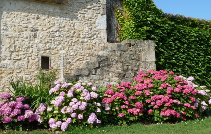 Gîte des Tournesols, Moncaut - photo 5