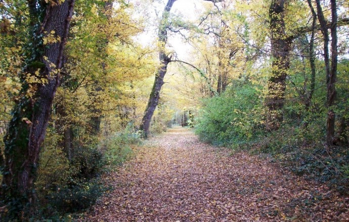 Gîte des Tournesols, Moncaut - photo 8