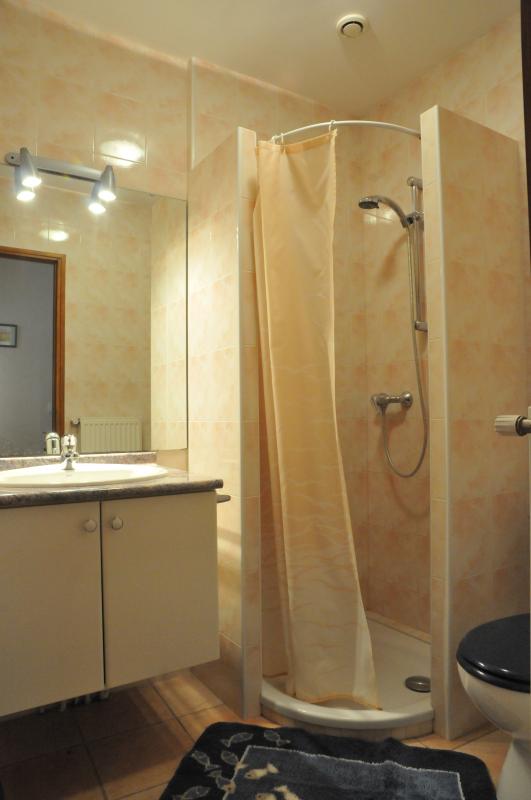 Gîte des Tournesols, Moncaut - photo 9