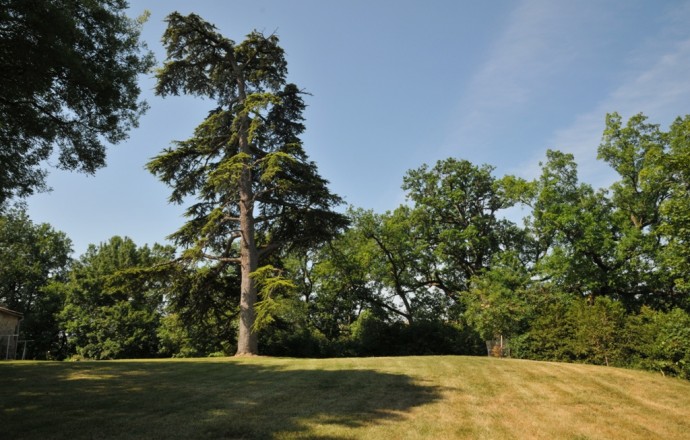 Gîte des Tournesols, Moncaut - photo 3