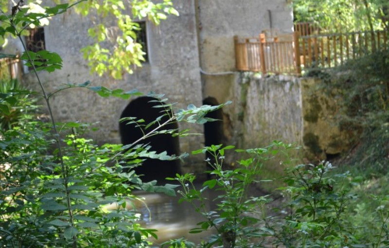 Gîte du Meunier, Castelnau-sur-Gupie - photo 12